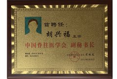 2012年中国脊柱医学会副秘書長に就任